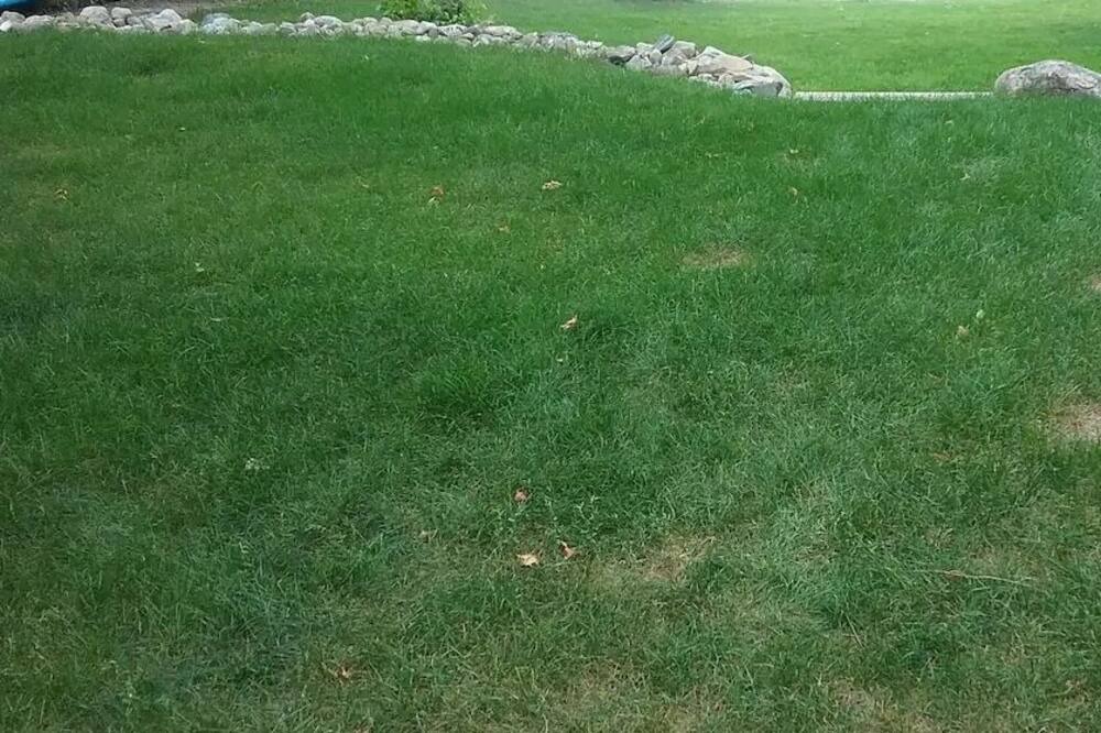 Photo of Outdoor in Port McNicoll