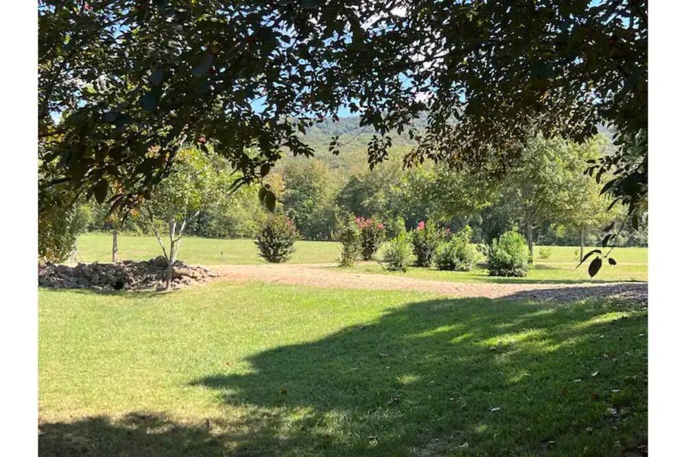Photo of Outdoor in Elkins