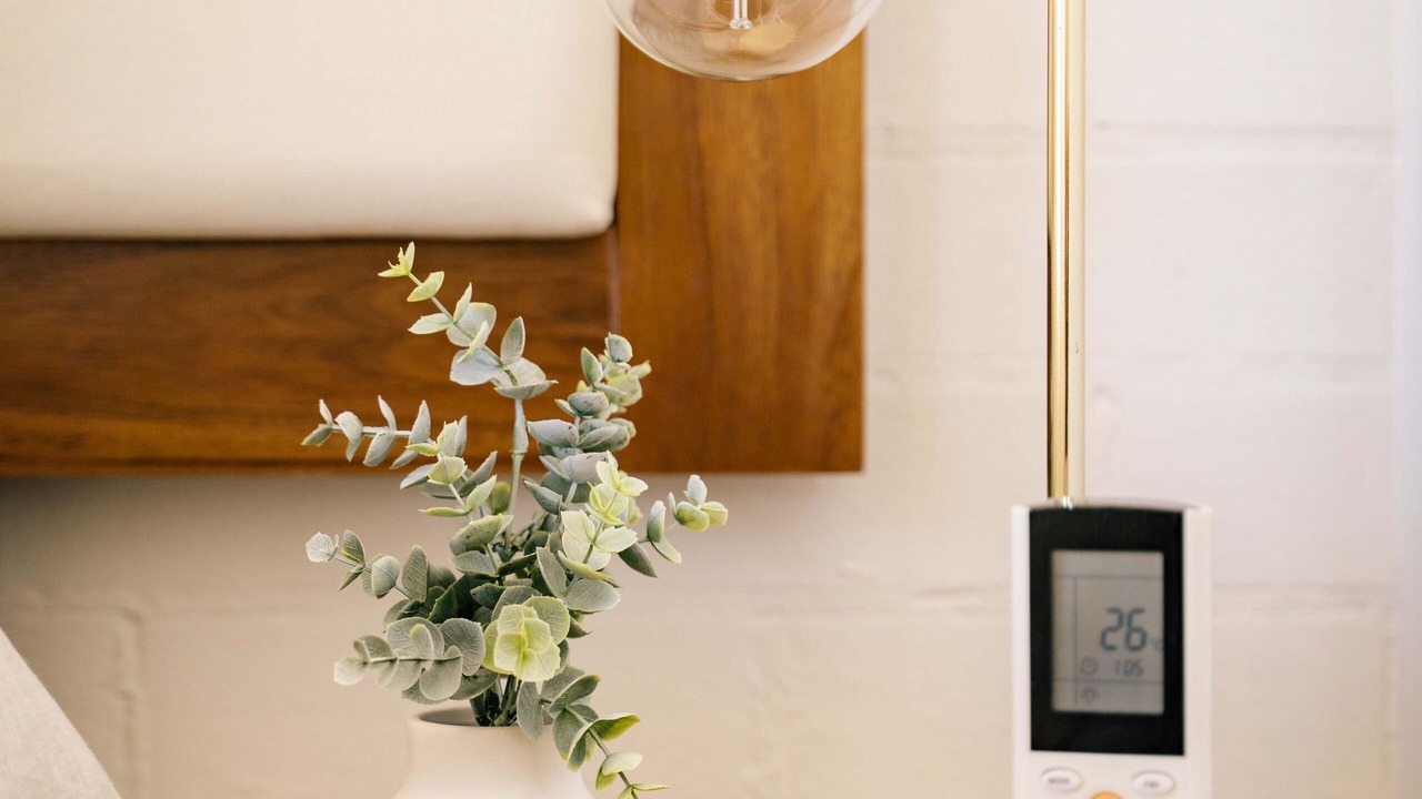 Photo of Others in Bellingen