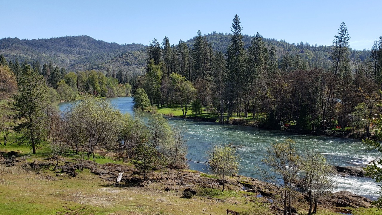 Photo of Others in Shady Cove
