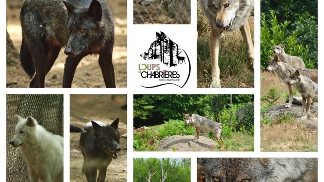 Photo of Others in Gueret