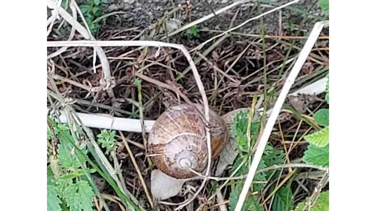 Photo of Outdoor in Riotord