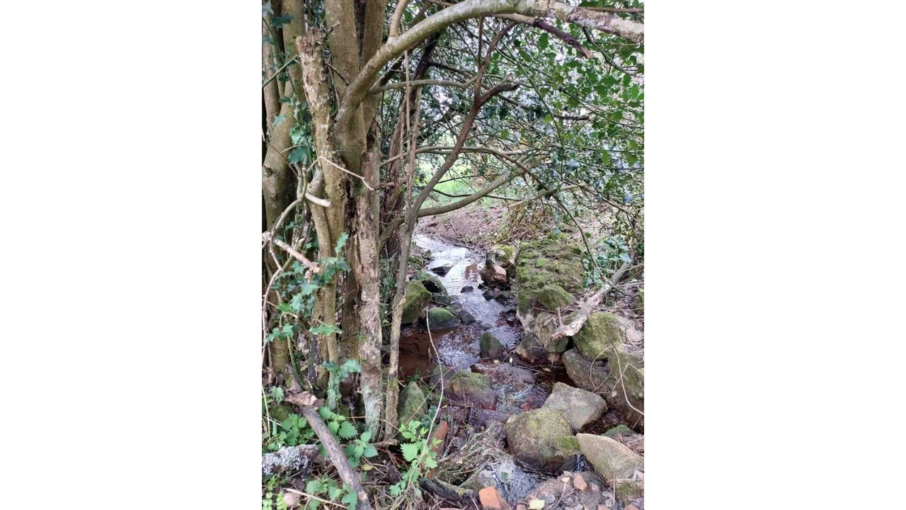 Photo of Others in Riotord