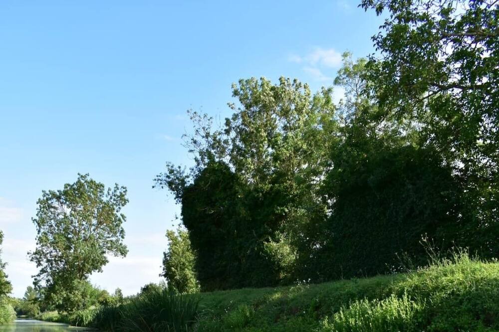 Photo of Outdoor in Maille