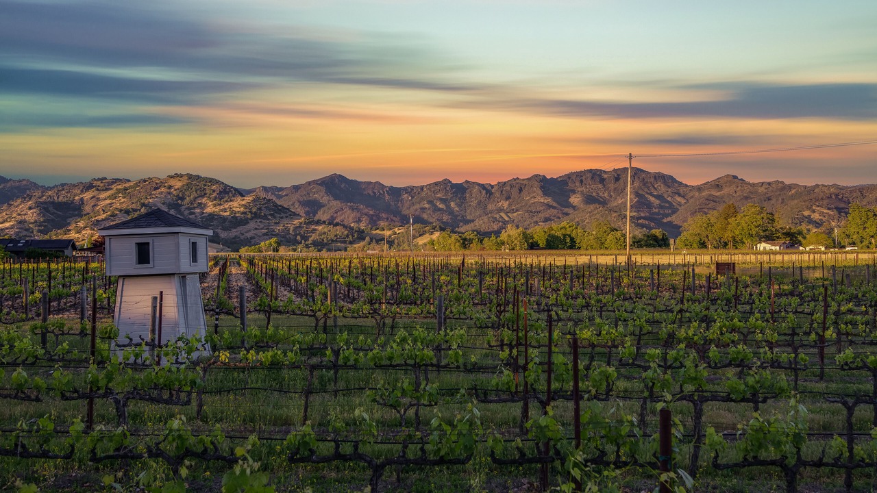 Photo of Others in Calistoga