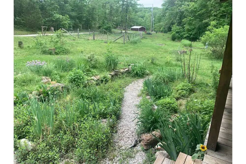Photo of Outdoor in Mcclurg