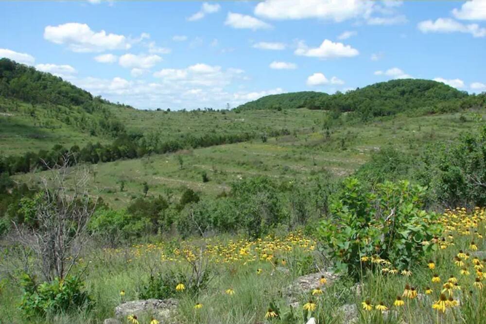 Photo of Outdoor in Squires