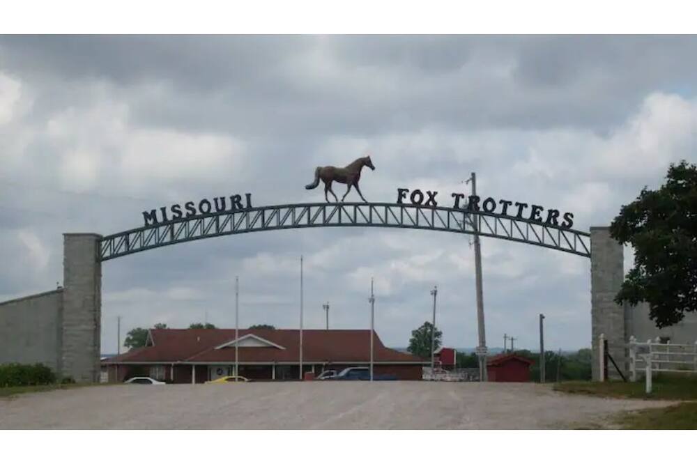 Photo of Outdoor in Squires