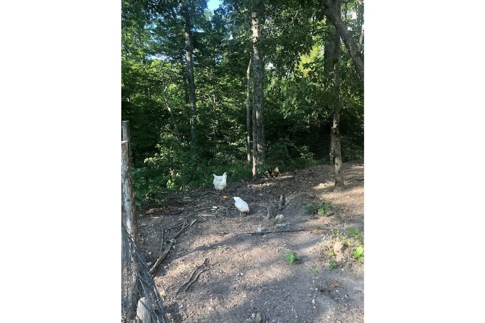 Photo of Outdoor in Squires