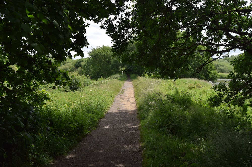 Photo of Outdoor in Stanley