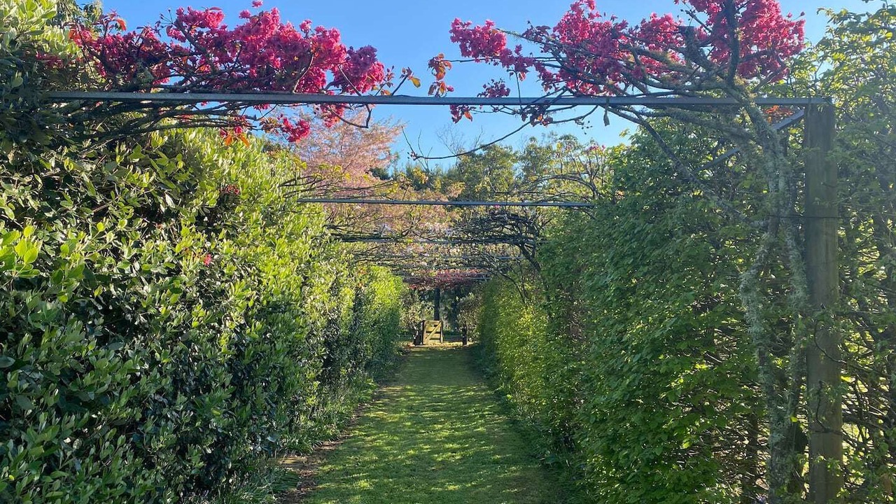 Photo of Outdoor in Katikati