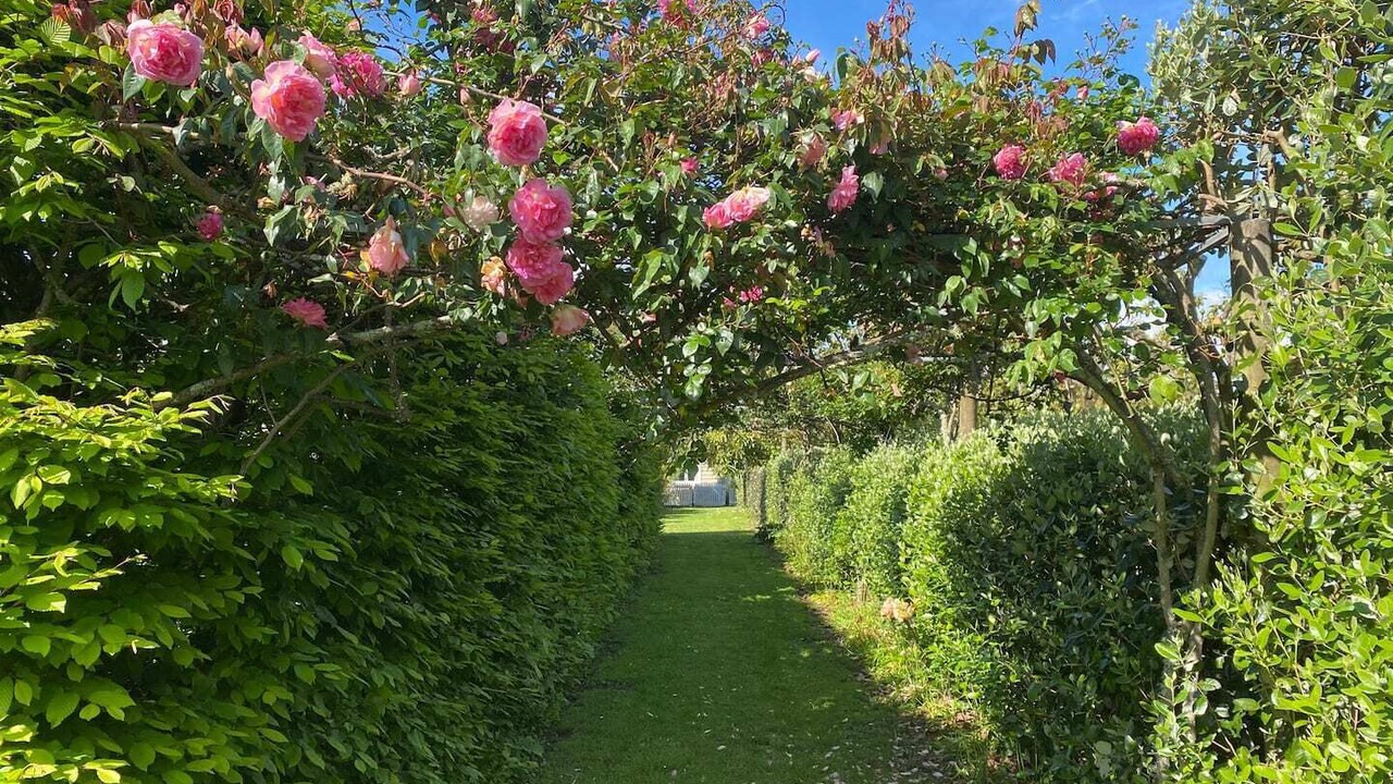 Photo of Outdoor in Katikati