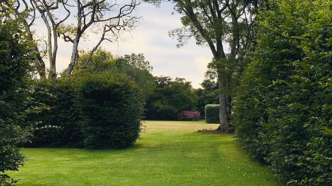 Photo of Others in Katikati