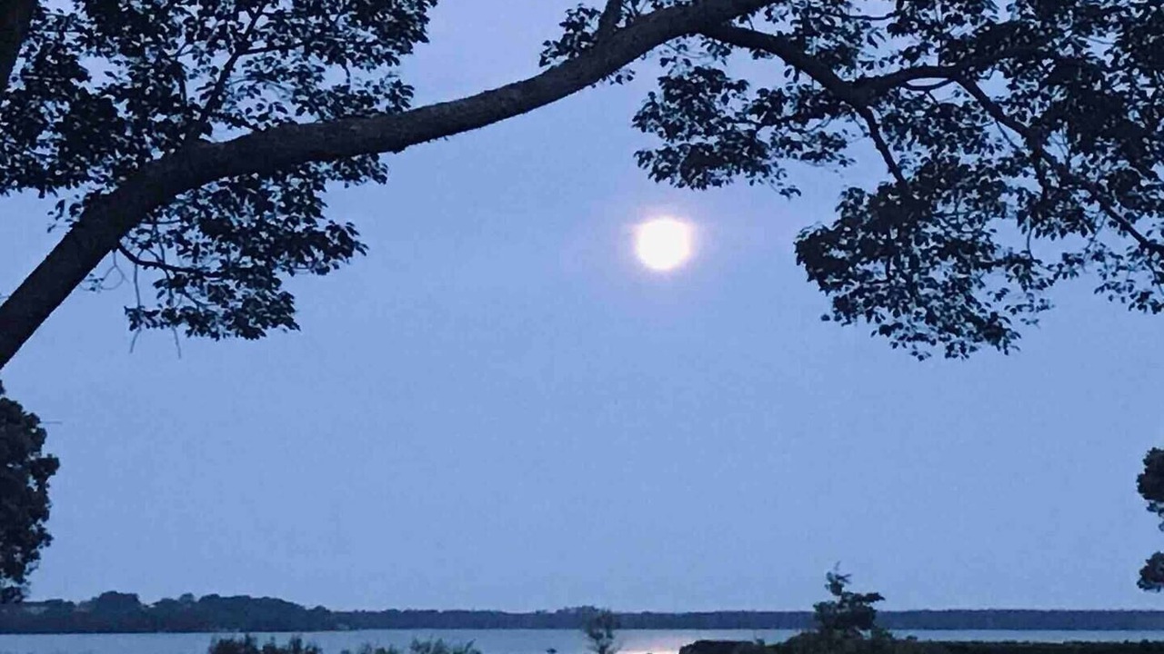 Photo of Outdoor in Katikati