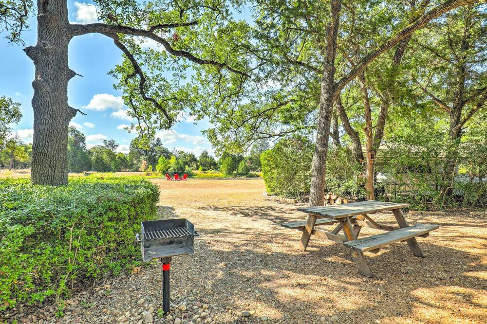 Photo of Outdoor in Paige
