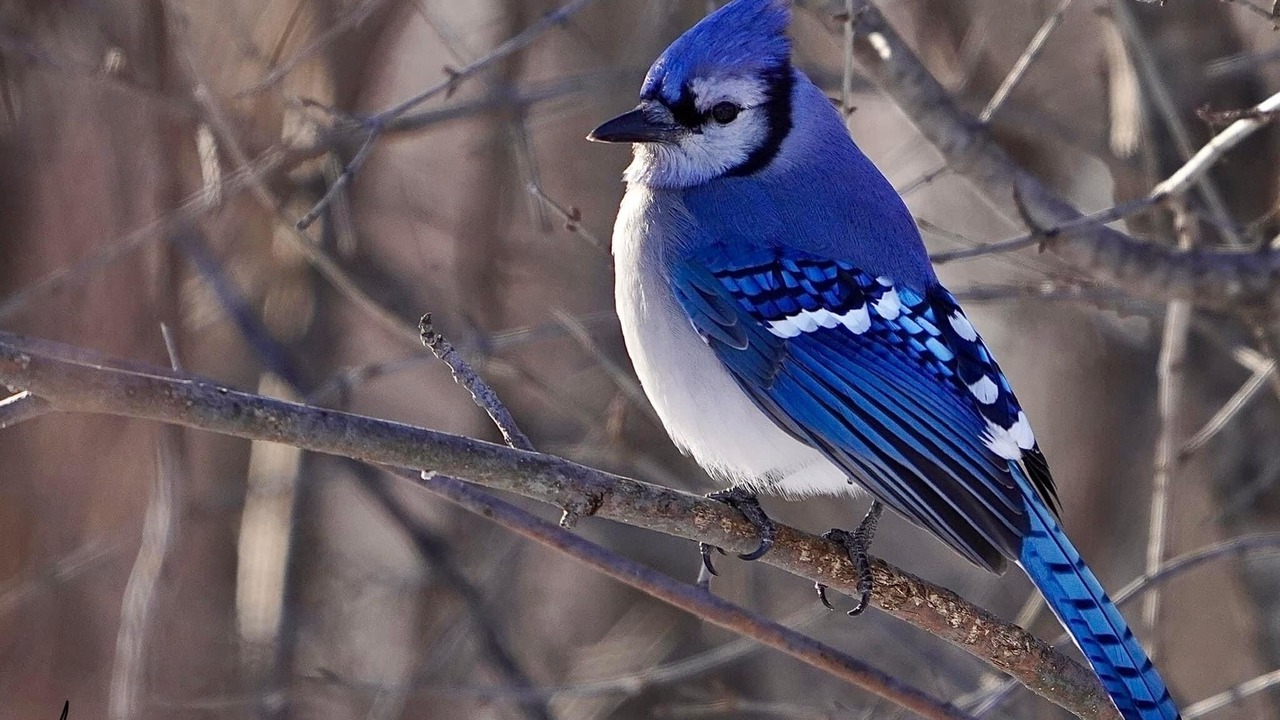 Photo of Outdoor in Saint-Gabriel-de-Brandon