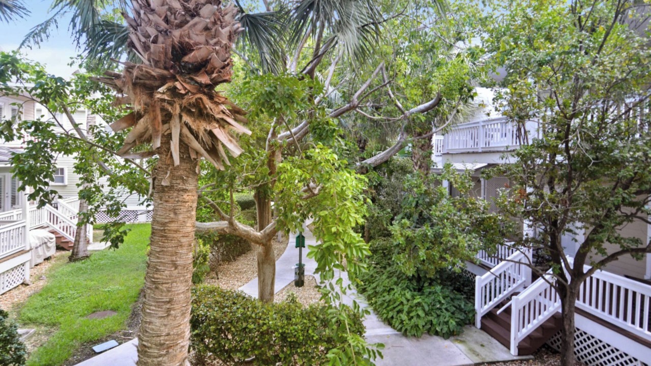 Photo of Others in Key West
