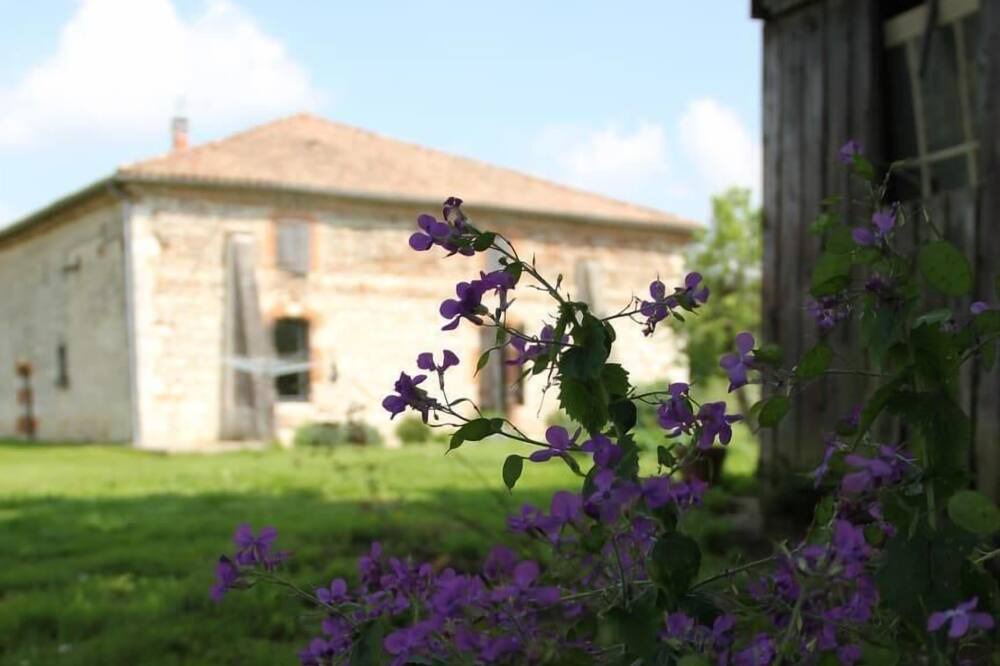 Photo of Outdoor in Castelmayran