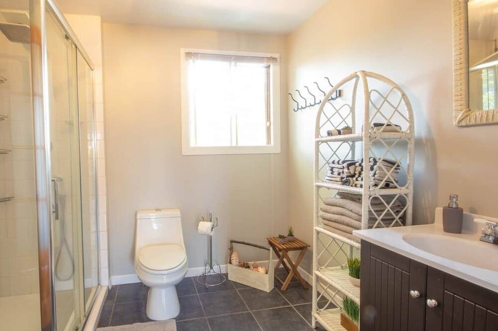 Photo of Bathroom in Asbestos