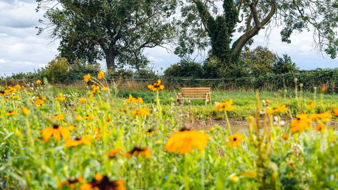 Photo of Outdoor in Arnold