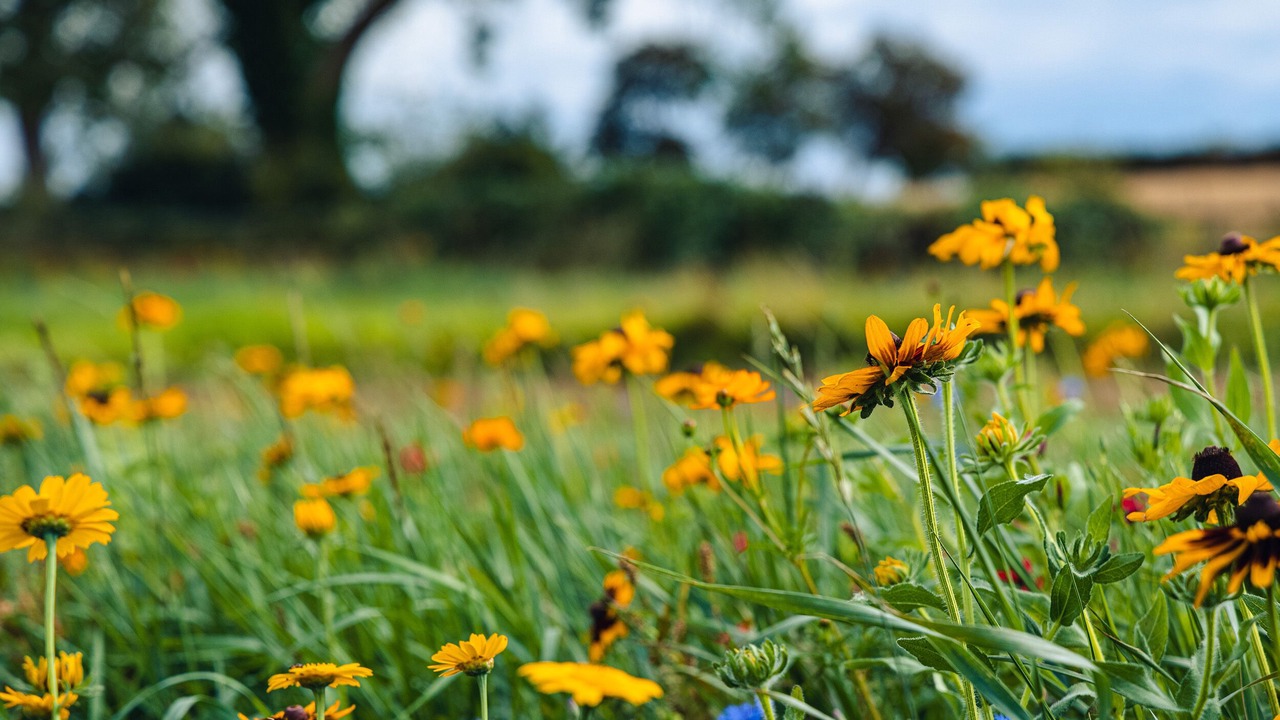 Photo of Others in Arnold