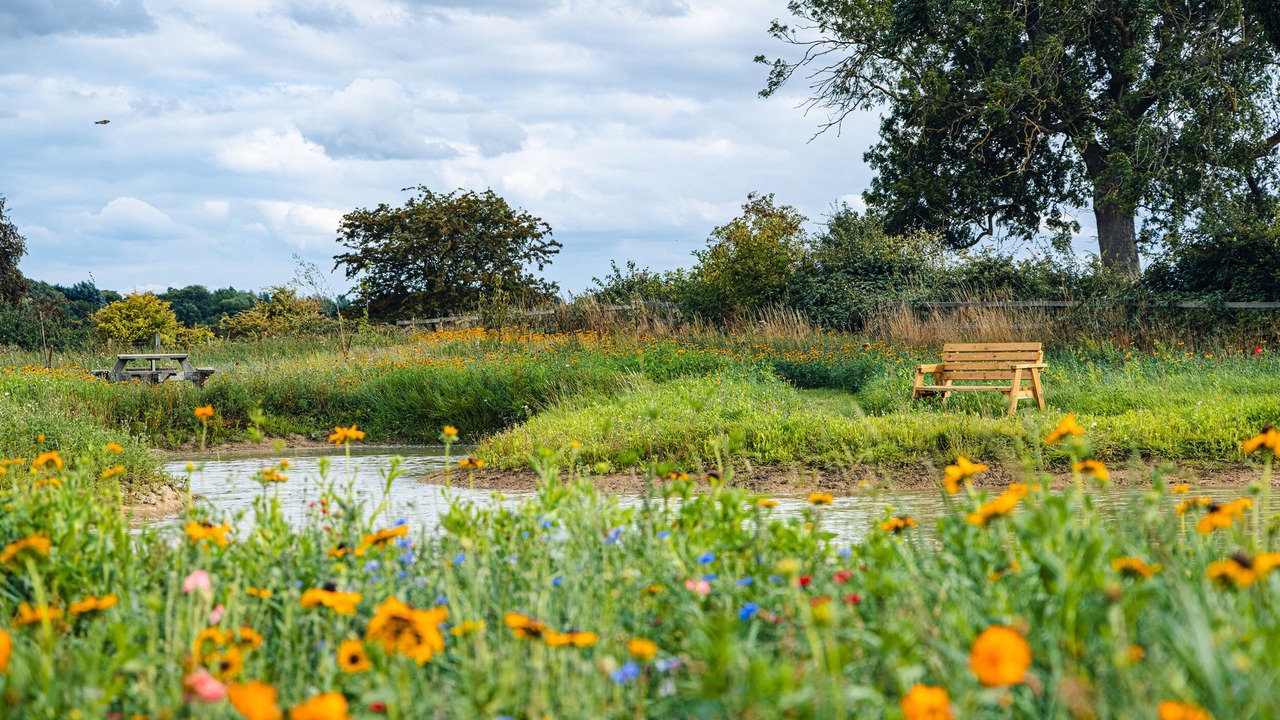 Photo of Outdoor in Arnold