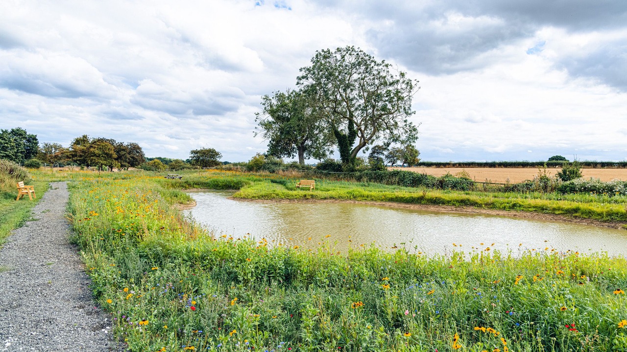 Photo of Outdoor in Arnold