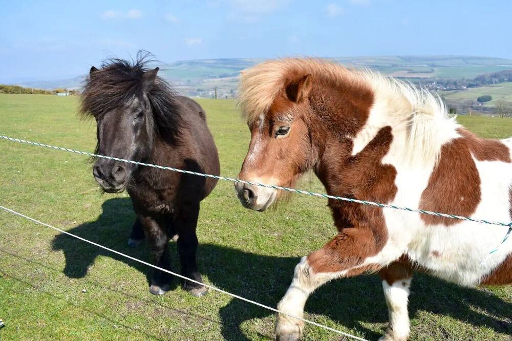 Photo of Outdoor in Niton