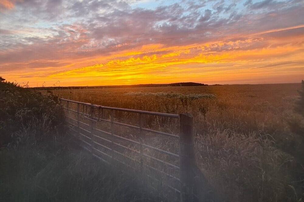 Photo of Others in Niton