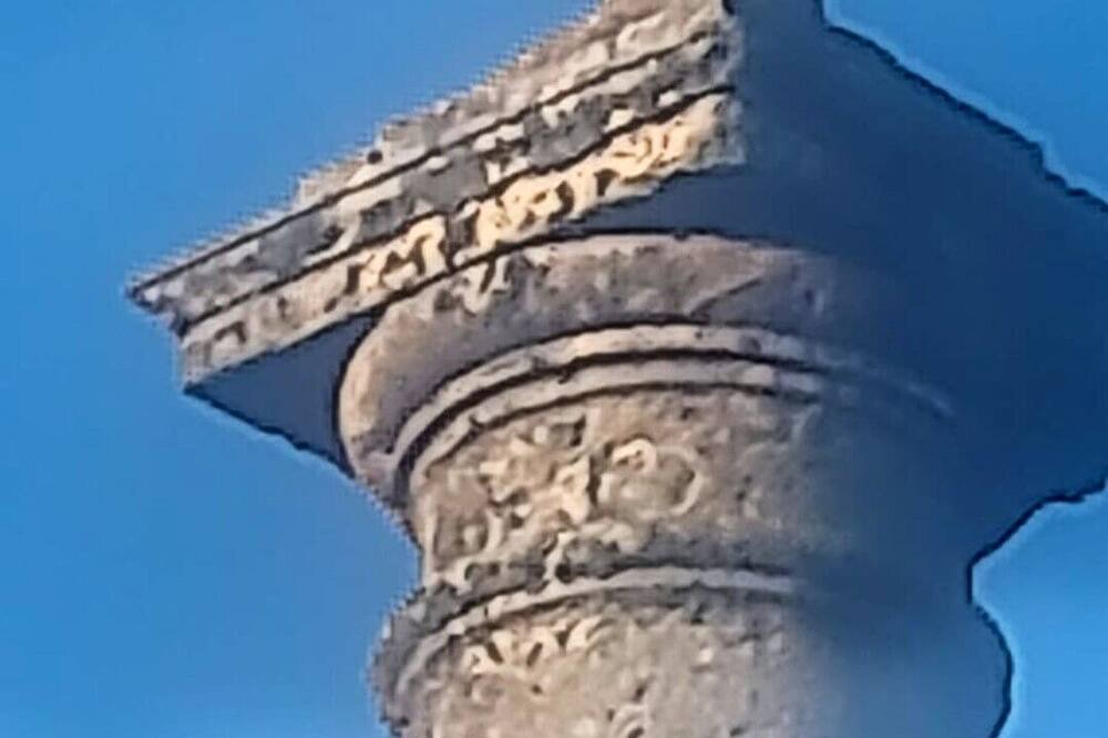 Photo of Outdoor in Niton