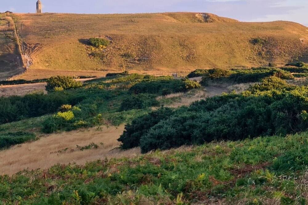 Photo of Outdoor in Niton