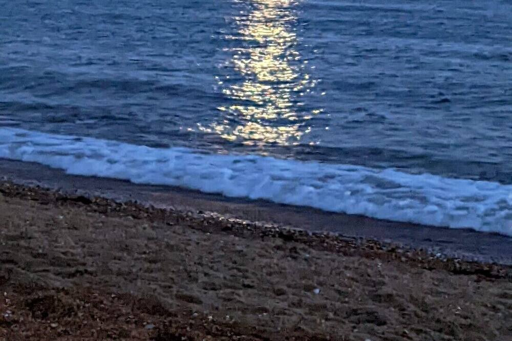 Photo of Others in Niton