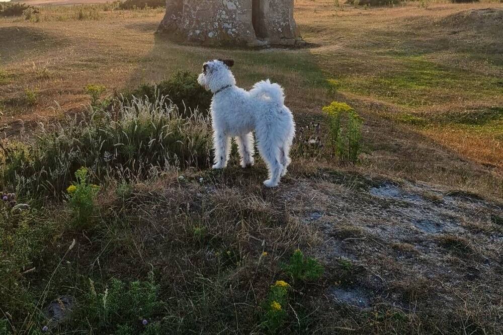 Photo of Outdoor in Niton