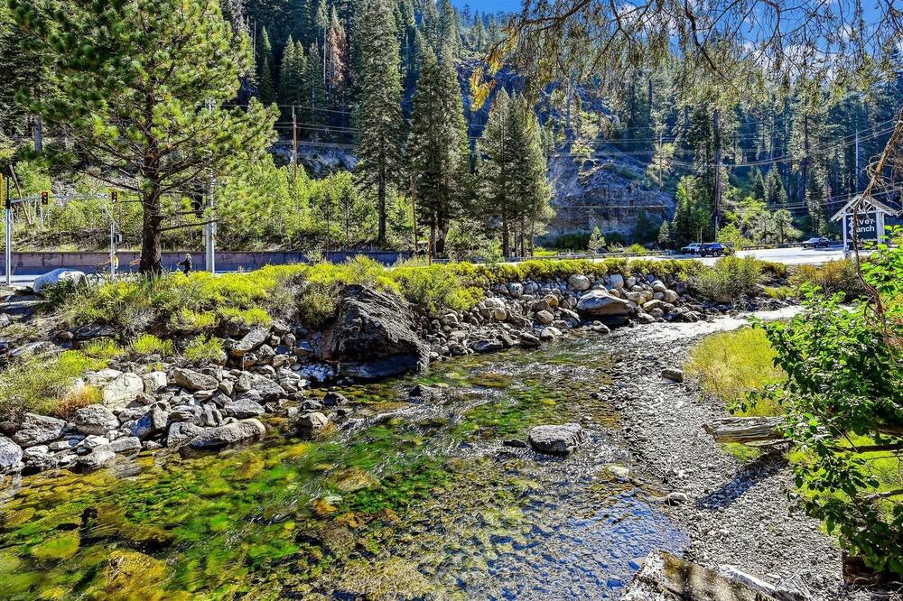 Photo of Others in Tahoe City