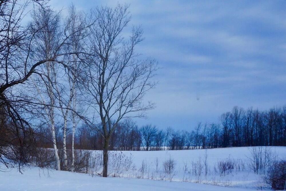 Photo of Others in Lafontaine