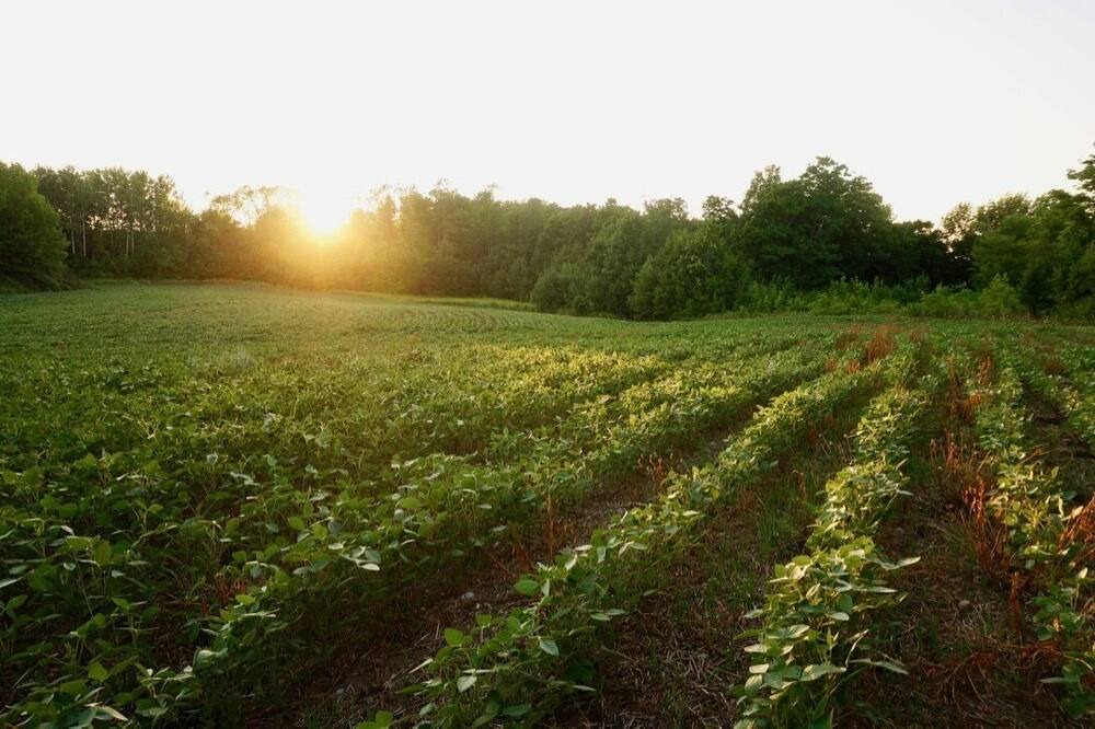 Photo of Outdoor in Lafontaine