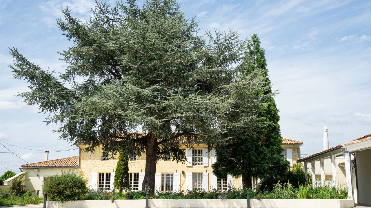 Photo of Outdoor in Vignonet