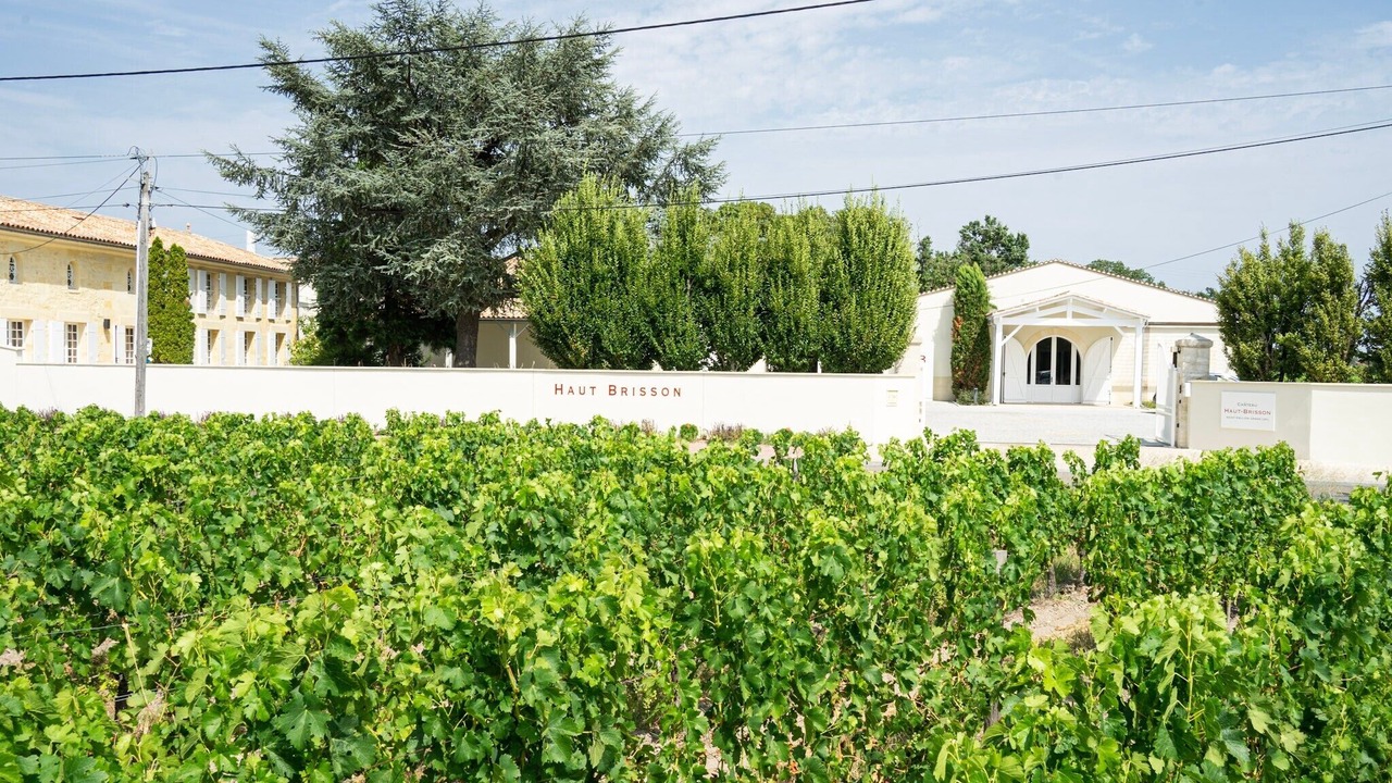 Photo of Others in Vignonet