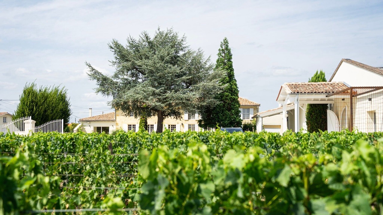 Photo of Others in Vignonet