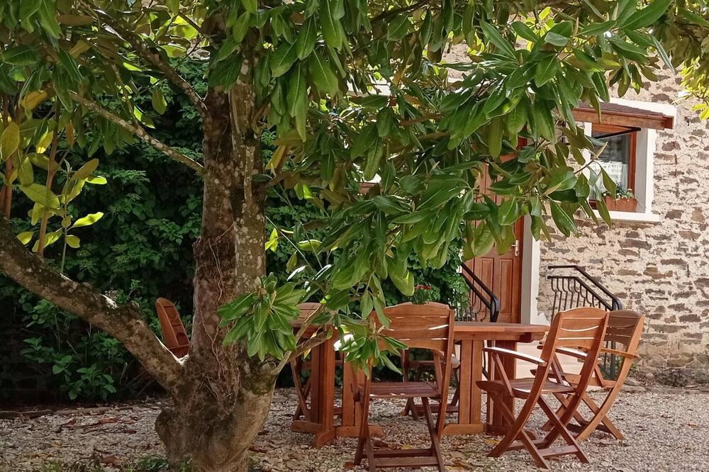 Photo of Outdoor in Chalais
