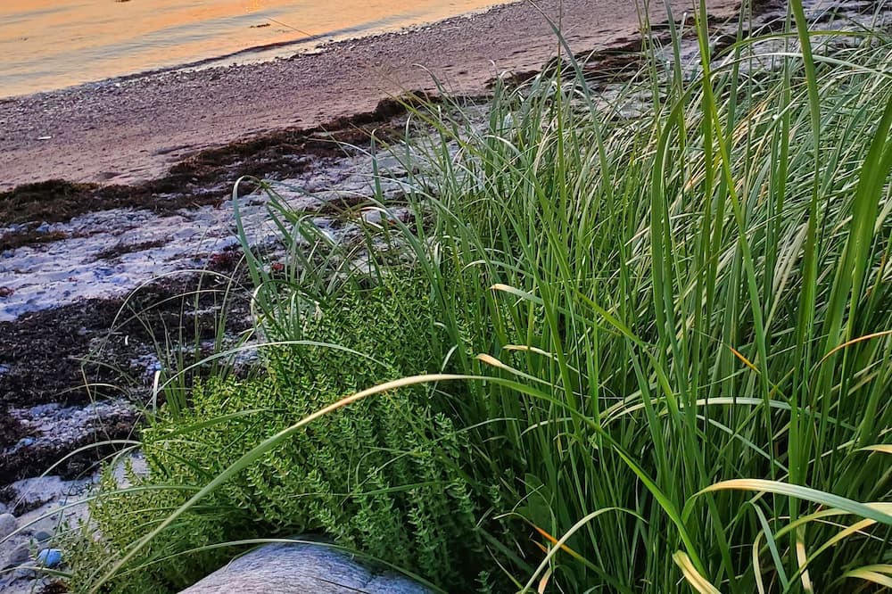 Photo of Others in Upper Blandford