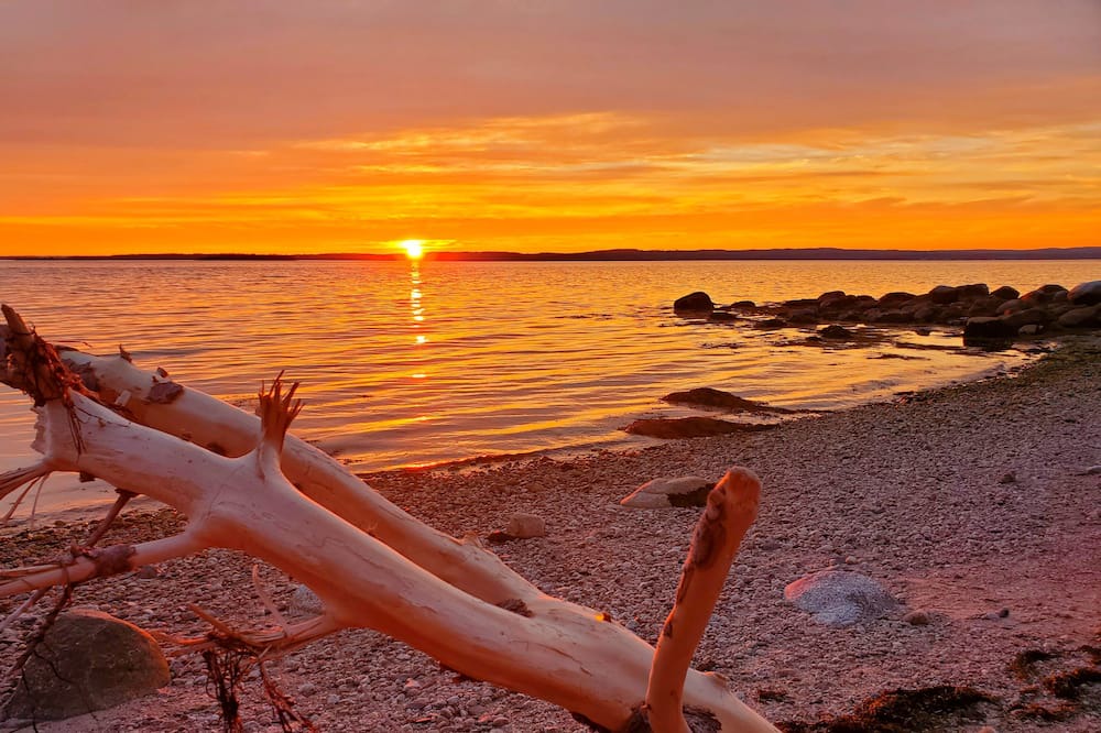 Photo of Others in Upper Blandford