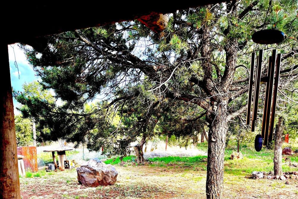 Photo of Outdoor in White Mountains