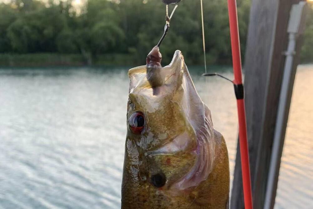 Photo of Others in Missouri City