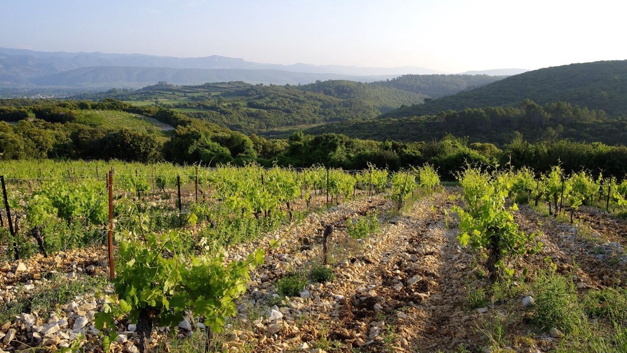 Photo of Outdoor in Aniane