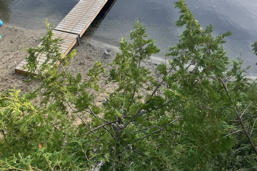 Photo of Outdoor in Central Frontenac