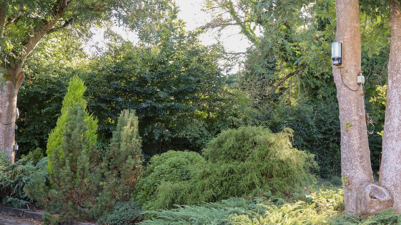 Photo of Outdoor in Battle