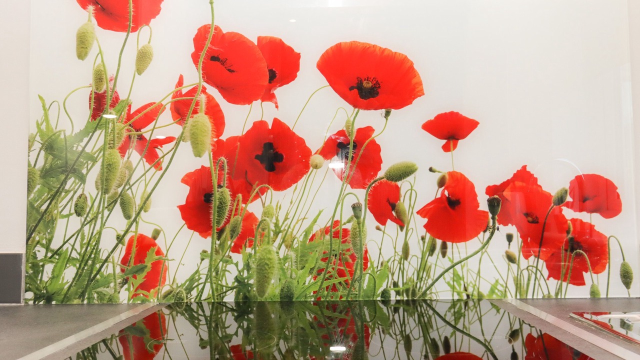 Photo of Others in Battle