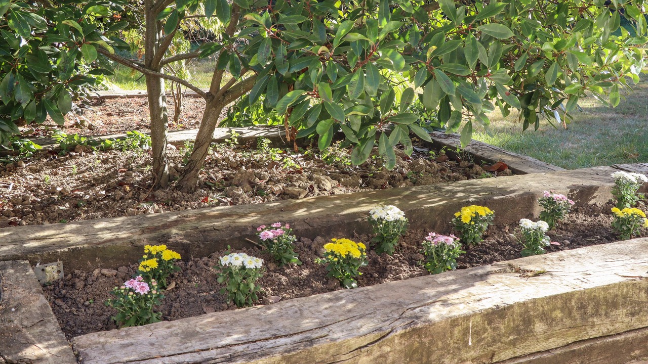 Photo of Outdoor in Battle