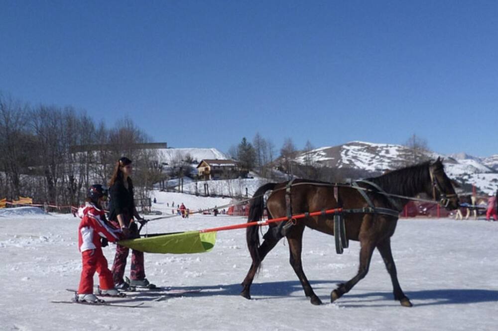 Photo of Others in Cognet